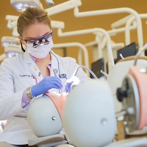 A female dental hygiene students practices on a patient simulator